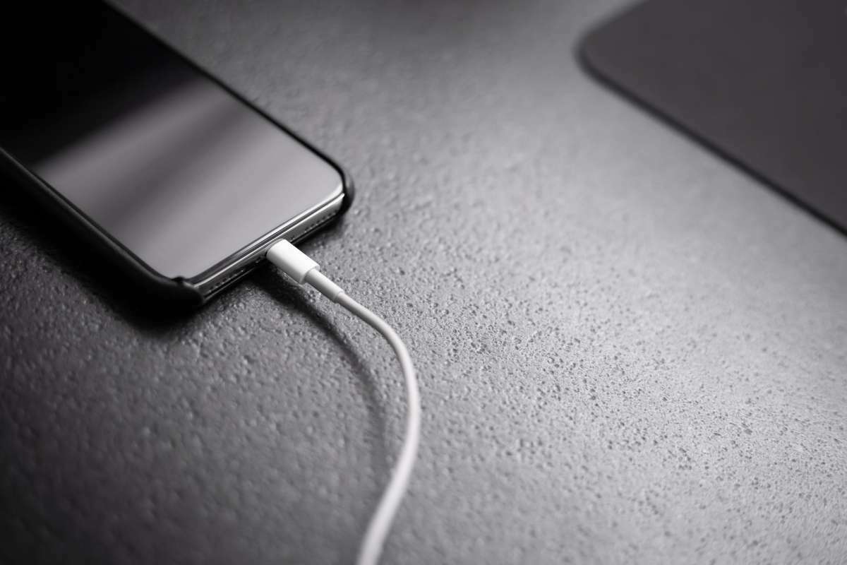 annonces categorie Chargeur