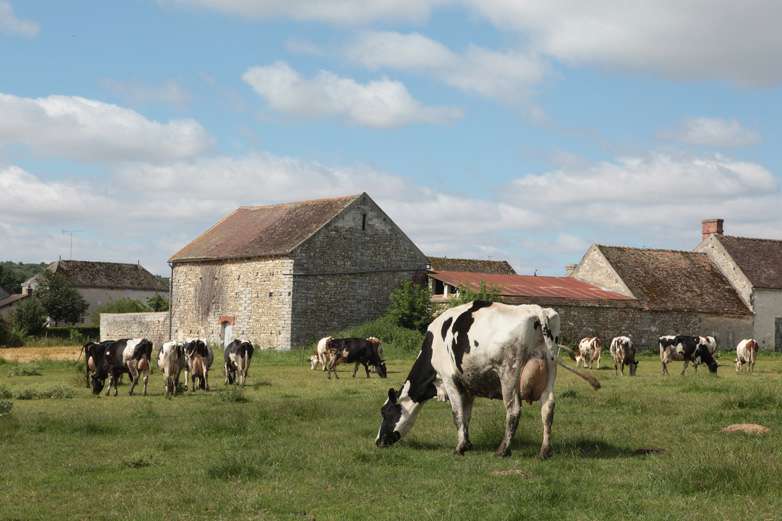 annonces categorie Ferme